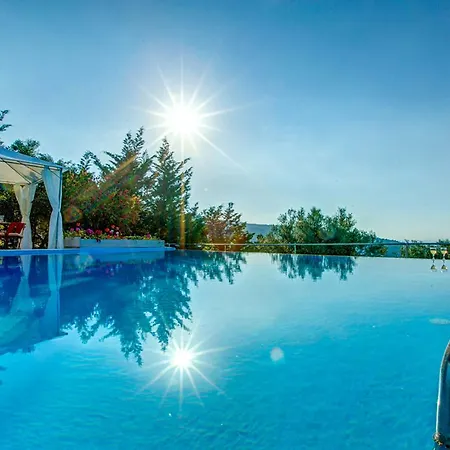 Gatsoulis Villas Вилла Apolpaina